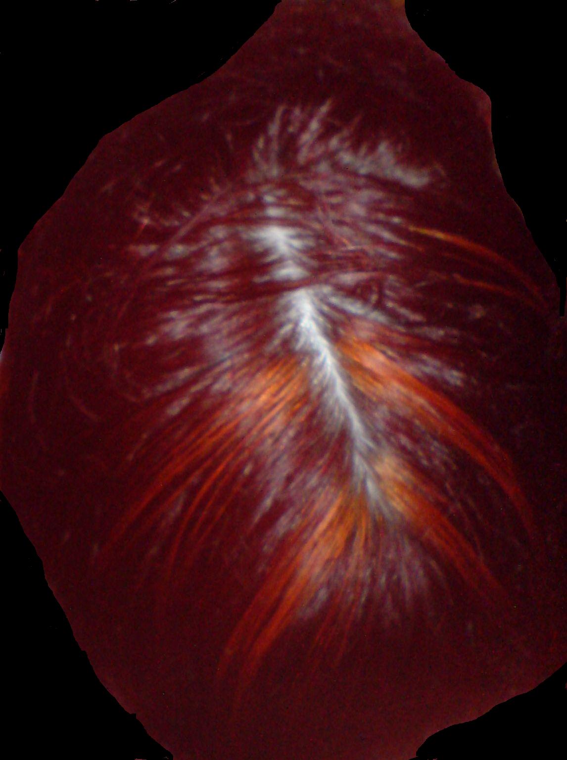 DSC02179.JPG